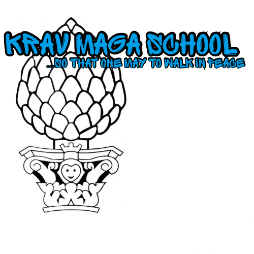 Krav Maga School